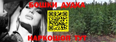 стафф Заволжье